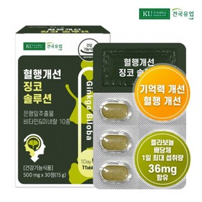 건국유업 혈행개선 징코 솔루션, 1개, 15g