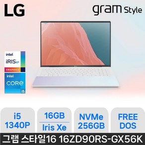 LG전자 그램 스타일16 16ZD90RS-GX56K, Fee DOS, 16GB, 256GB, White