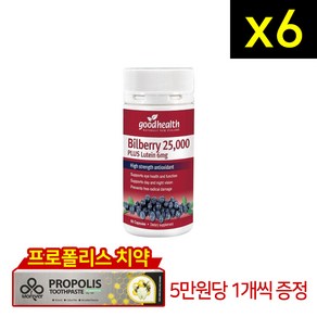 굿헬스 굿헬스 빌베리 25000 +루테인 6mg 60캡슐 6개, 60정