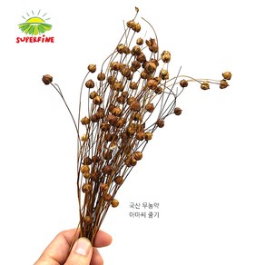 제이펫 국산 아마씨줄기 10g (약100알) 토끼 기니피그 햄스터 친칠라 간식