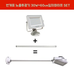 번개표 LED투광기 30W 백색 전구색 연장파이프 일자 백색 SET, 1세트