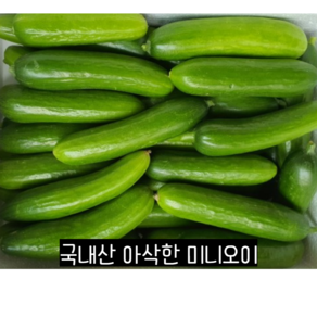 아삭한 국산 미니오이 1kg 2kg 피클용오이 미니 오이 스낵오이 피클오이 꼬마오이 피콜리노