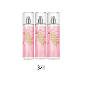 엘리자베스 아덴 바디 미스트 236ml x 3, 3개