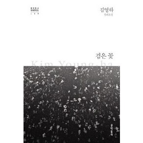 [문학동네]검은 꽃 - 문학동네 한국문학전집 17 (양장)