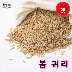 맛봉달 봄귀리 귀리쌀 오트밀 통귀리 국내산, 500g, 1개, 20kg