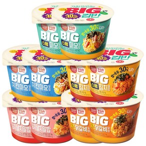 햇반컵반 BIG 컵밥 5종 (스팸마요+치킨마요+스팸김치+김치날치알밥+치즈닭갈비), 2세트