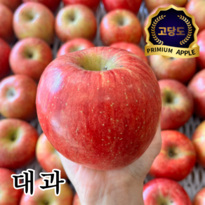 [베스트팜] 청송 얼음골 사과 산지직송(전국 당일출고) 대과, 1개, 4kg(15~18과)
