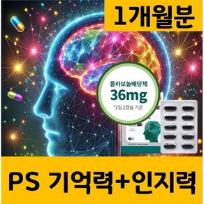 포스파티딜세린 PS 징코 인지력 프리미엄 포스타디딜세린 두뇌 뇌 에너데이, 1개, 30회분