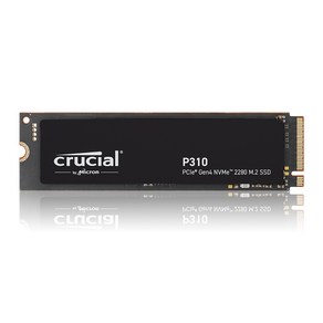 마이크론 Cucial P310 M.2 NVMe 아스크텍, 2TB