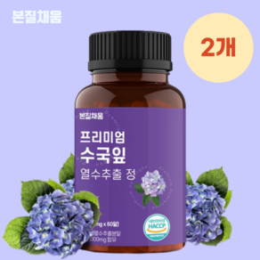 본질채움 프리미엄 수국잎 열수 추출 정 1000mg, 60정, 2개