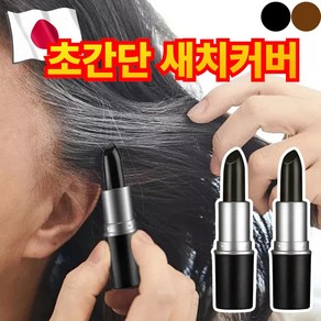 다니즈 올커버 새치 커버 스틱 염색 헤어틴트, 2개, 미드나잇 블랙