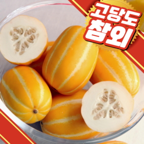 성주 꿀 참외 고당고 가정용 혼합과, 1개, 혼합 2KG