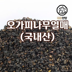 대흥한방 오가피나무(열매) 300g 국내산