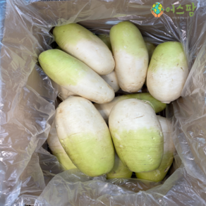 수입 무 세척 무우 대용량 [품질보장], 1박스, 20kg