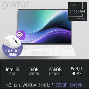 LG 그램17 17Z90R-GA5VK [본품], WIN11 Home, 16GB, 256GB, 스노우 화이트