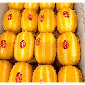 [꼬미몰] 가정용 못난이 성주 꿀 참외, 1박스, 가정용못난이 참외 2kg 소과 12과 내외