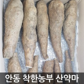 안동참마 중품 5kg (정직을 배달합니다), 1개