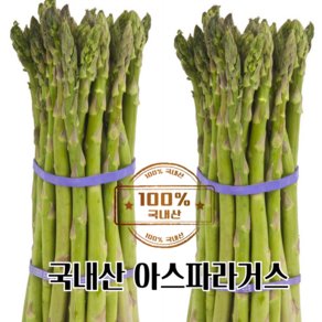 [농장직영] 25년 햇 아스파라거스 신선하고 아삭아삭한 국내산, 1박스, 1kg(얇은)