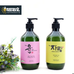 순자담 더자람 천연샴푸 500ml 자연유래 기능성 탈모완화 약산성 임산부 청소년뾰루지, 샴푸(자람), 1개