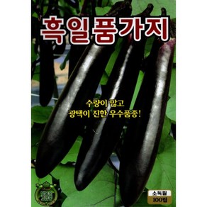 (씨앗) 흑일품가지 - 맛있고 광택이 좋은 가지 씨앗 종자 - 가정재배용 텃밭용 소포장 100립