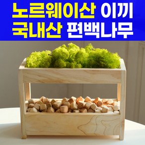 스마트덕 편백나무 천연 가습기, 1개