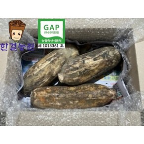 한결농원 gap인증 당일수확 연근(햇) 1kg 2kg 3kg 5kg 10kg 15kg 직접재배 산지직송