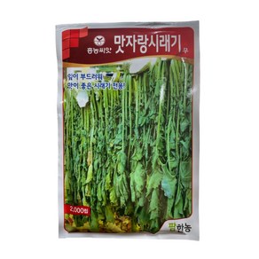 맛자랑시래기 무 씨앗 2000립 [24년포장] 맛있는 시래기무 종자, 1개