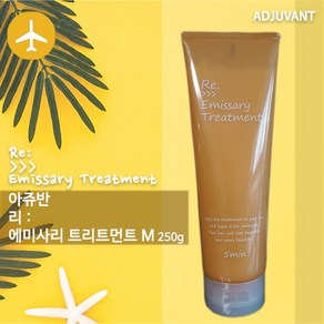 [국내당일]아쥬반 리 에미사리 트리트먼트 250g, 1개, 250ml