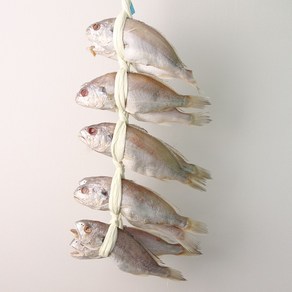 담백함 그 자체! 정말 맛있는 백조기 프리미엄 사이즈로 준비했습니다., 1박스, 백조기 2.4kg (10미)