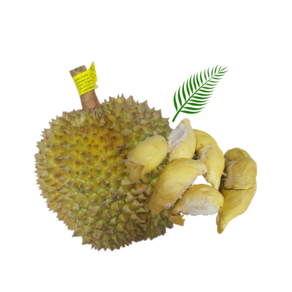 생 두리안 프리미엄 통두리안 생두리안 두리안냉동 태국두리안 durian 두리안생 냉동두리안 [원산지:태국]