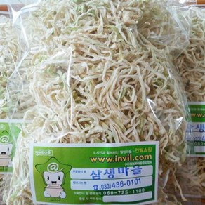 (강원)홍천 삼생 무말랭이 [250g], 1개