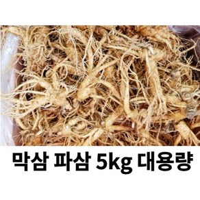 금산인삼 4-6년근 못난이 인삼 5kg 대용량 막삼 수삼 파삼 홍삼제조용