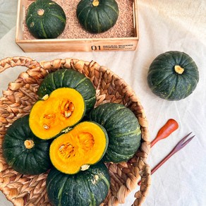 자연의정 농장직송 제주 미니 밤호박 밤 단호박 보우짱 특품 로얄과, 1개, 10kg