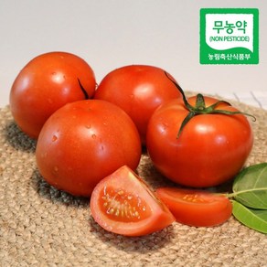 (산지직송) 친환경 봄춘 무농약 완숙 토마토, 5kg(중과), 1개