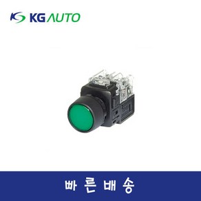 KG오토 KGX-NAD21 일반형 22파이 DC12/24V 조광형 누름버튼 스위치, 황색(Y), 1개