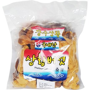 국산 장수상황버섯 한방 한약 건강차 동의한약나라, 1개, 500g