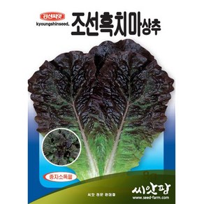 조선 흑치마 상추씨앗 (8000립)