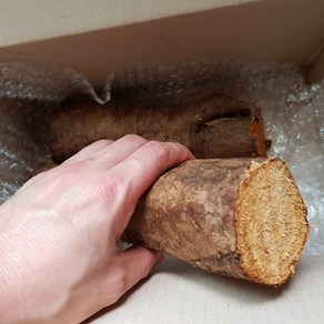 국산 자연산 야생 생칡 뿌리 1kg 암칡 알칡 통칡, 1개