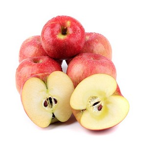 햇살농원 껍질째 먹는 충주 고당도 사과, 흠과3kg(굵기선별없음), 1박스