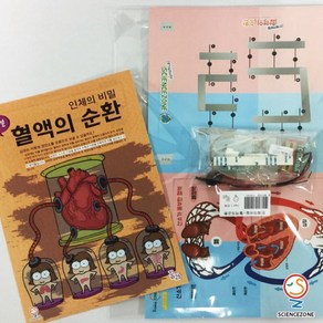 사이언스존 [꿈과-인체의 비밀-혈액의 순환 1인용] 과학실험키트 학습교구세트