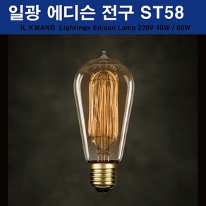 일광 에디슨전구 ST58 40W, 전구색, 1개