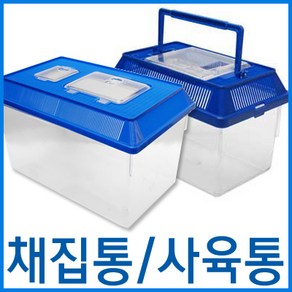 밀웜나라 채집통 왕대, 1개