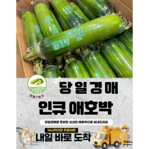 야채7번가 부드러운 애호박 당일경매 당일배송 10개 특품, 반박스