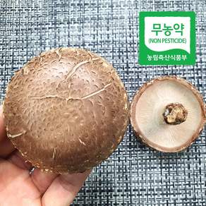 국산 무농약 표고버섯, 생표고 슬라이스 1kg, 1개