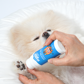 쉬즈곤 포우에센스 반려동물 저자극 발바닥 보습제, 75ml, 3개