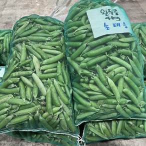 [대박농수산] 국내산 햇 완두콩 껍질있음 생콩 햇껍질완두콩 1kg 2kg 3kg 4kg, 500g, 1박스, 국내산 완두콩 특등급 500g