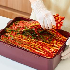 [대통령상수상] 당일제조 전라도 파김치, 2kg, 1개