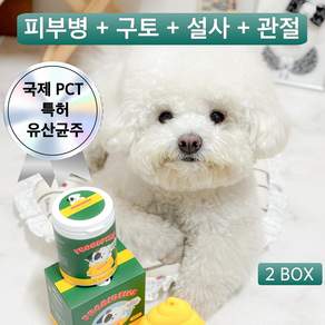 [국제 PCT 특허] 멍보스 강아지 고양이 유산균 댕산균, 60g, 2세트