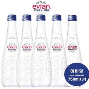 에비앙 탄산수 글라스 - 프랑스 천연탄산 고급 유리병 미네랄워터, 750ml, 6개