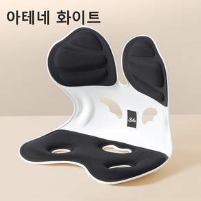 허리 보호 쿠션 인체 공학적 자세 의자 사무실 좌석 허리 허리에 기대다., black